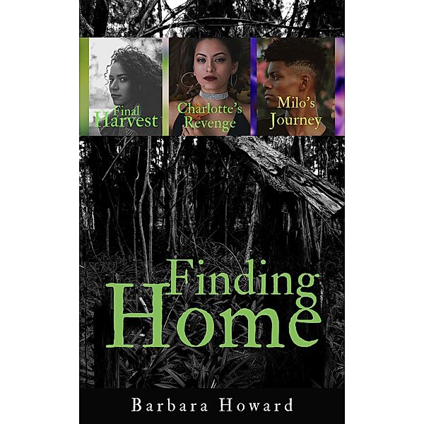 Finding Home Mystery Series / Finding Home, Barbara Howard