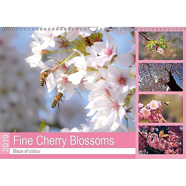Fine Cherry Blossoms (Wall Calendar 2019 DIN A3 Landscape), Bettina Hackstein