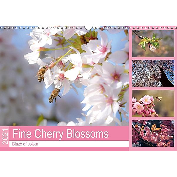Fine Cherry Blossoms (Wall Calendar 2021 DIN A3 Landscape), Bettina Hackstein