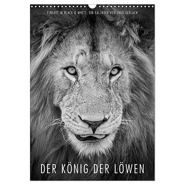 FineArt in Black and White: Der König der Löwen (Wandkalender 2024 DIN A3 hoch), CALVENDO Monatskalender, Ingo Gerlach