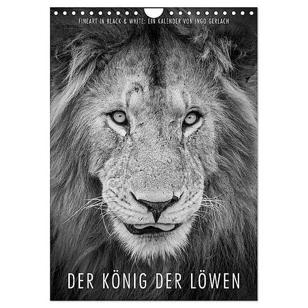 FineArt in Black and White: Der König der Löwen (Wandkalender 2024 DIN A4 hoch), CALVENDO Monatskalender, Ingo Gerlach