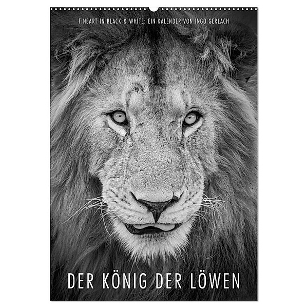 FineArt in Black and White: Der König der Löwen (Wandkalender 2024 DIN A2 hoch), CALVENDO Monatskalender, Ingo Gerlach