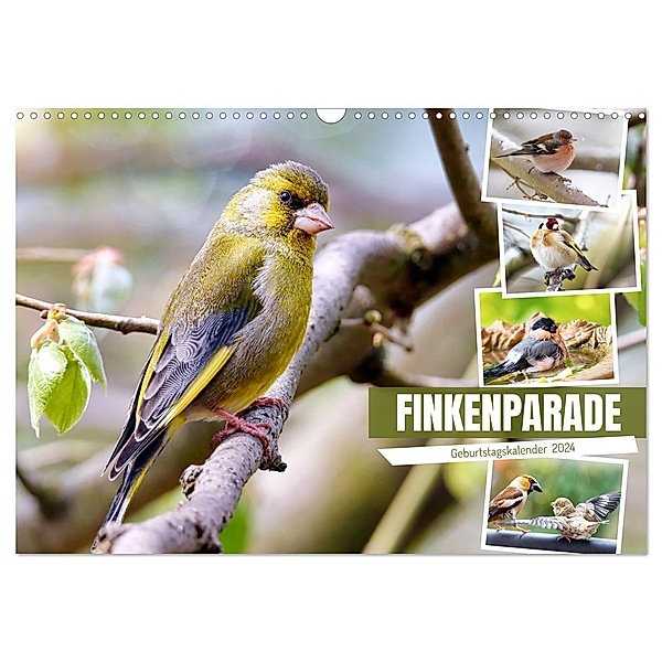 Finkenparade (Wandkalender 2024 DIN A3 quer), CALVENDO Monatskalender, Sabine Löwer