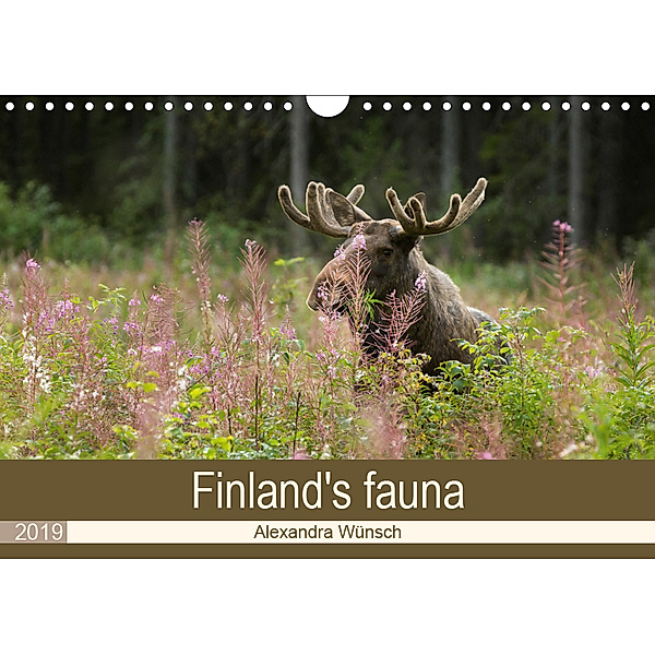 Finland's fauna (Wall Calendar 2019 DIN A4 Landscape), Alexandra Wünsch