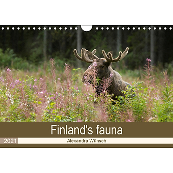 Finland's fauna (Wall Calendar 2021 DIN A4 Landscape), Alexandra Wünsch