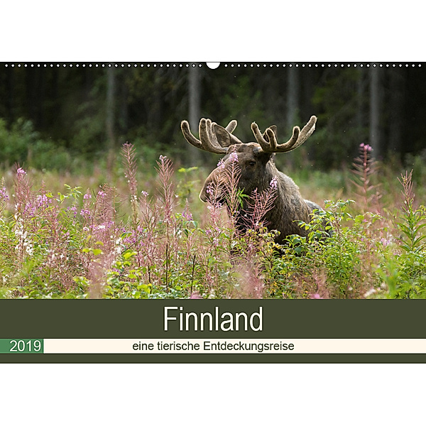 Finnland: eine tierische Entdeckungsreise (Wandkalender 2019 DIN A2 quer), Alexandra Wünsch