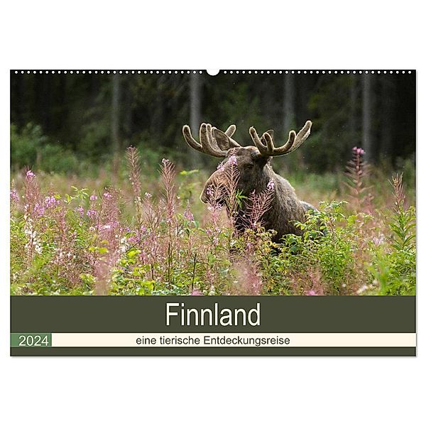 Finnland: eine tierische Entdeckungsreise (Wandkalender 2024 DIN A2 quer), CALVENDO Monatskalender, Alexandra Wünsch