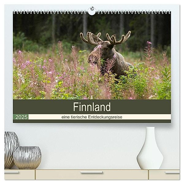 Finnland: eine tierische Entdeckungsreise (hochwertiger Premium Wandkalender 2025 DIN A2 quer), Kunstdruck in Hochglanz, Calvendo, Alexandra Wünsch