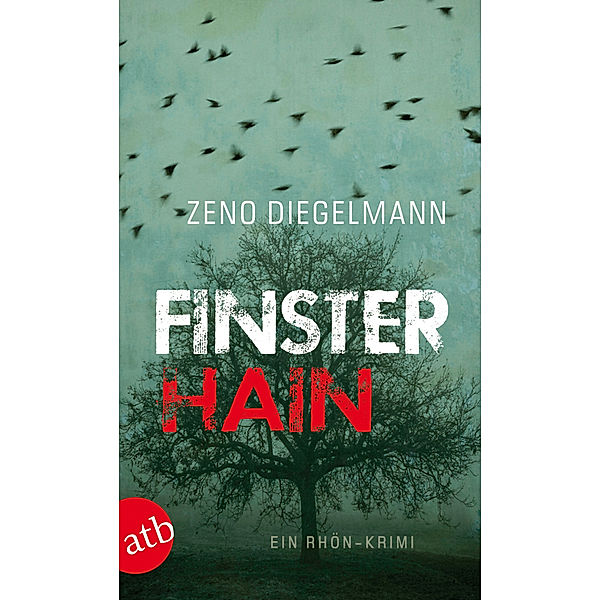 Finsterhain / Kommissar Seeberg Bd.2, Zeno Diegelmann