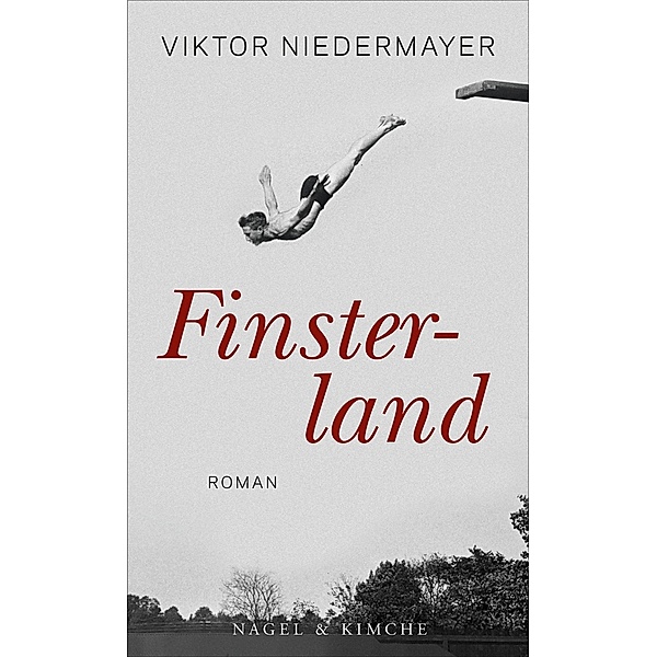 Finsterland, Viktor Niedermayer