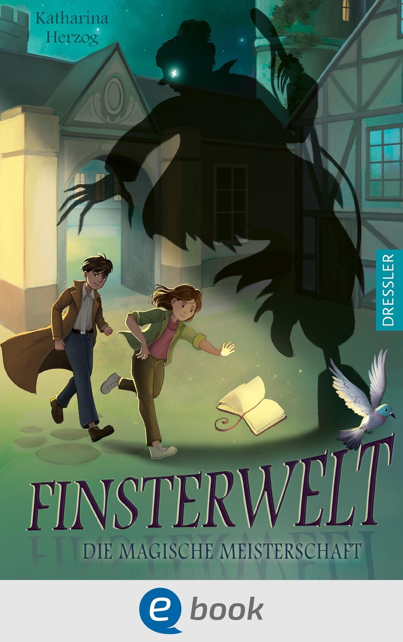 Finsterwelt 2. Die magische Meisterschaft / Finsterwelt Bd.2 (ePub)