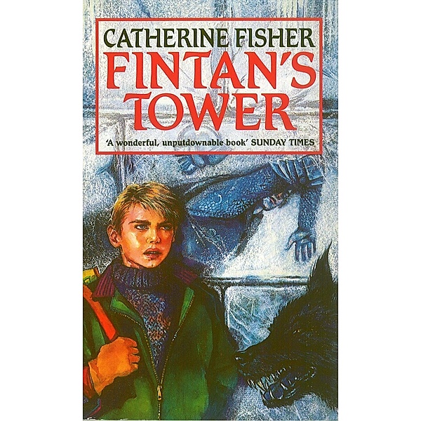 Fintan's Tower, Catherine Fisher