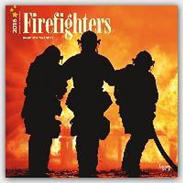Fire Fighters 2016