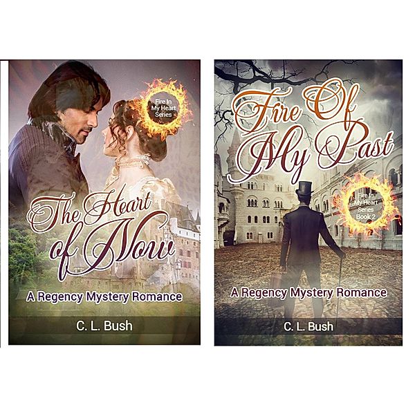 Fire In My Heart Series 2 Book Set: The Heart of Now & Fire of My Past / FIRE IN MY HEART, C. L. Bush