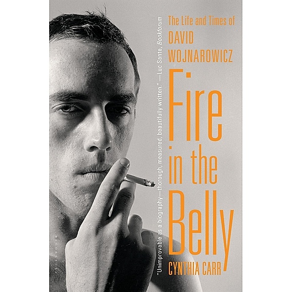 Fire in the Belly, Cynthia Carr