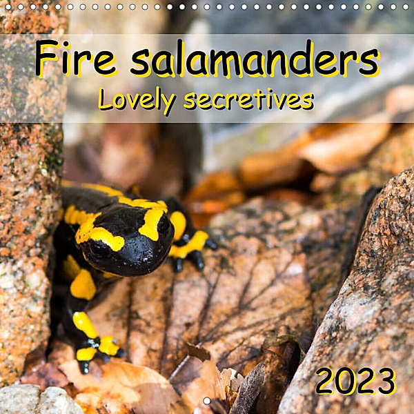 Fire salamanders - Lovely secretives (Wall Calendar 2023 300 × 300 mm Square), Carola Vahldiek