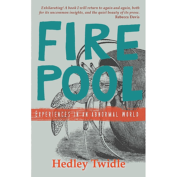 Firepool, Hedley Twidle