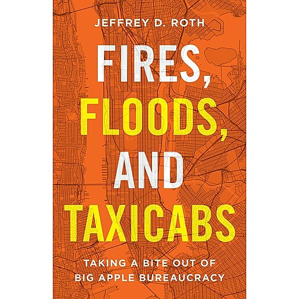 Fires, Floods, and Taxicabs, Jeffrey D. Roth