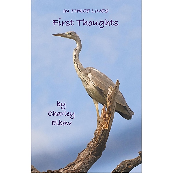 First Thoughts (In Three Lines) / In Three Lines, Charley Elbow