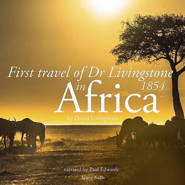 First travel of Dr Livingstone in Africa, Livingstone