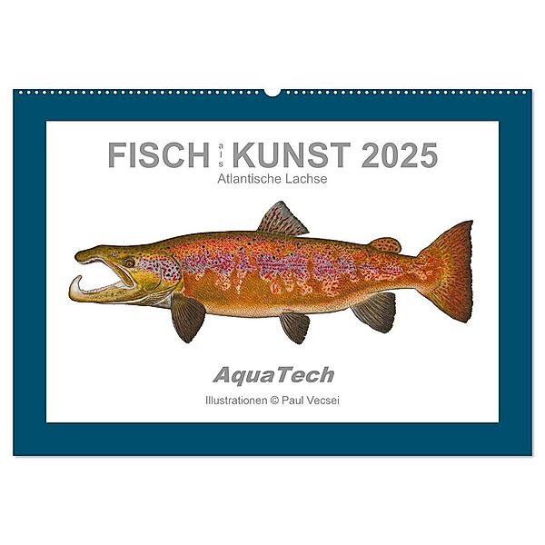 Fisch als Kunst 2025: Atlantische Lachse (Wandkalender 2025 DIN A2 quer), CALVENDO Monatskalender, Calvendo, Paul Vecsei