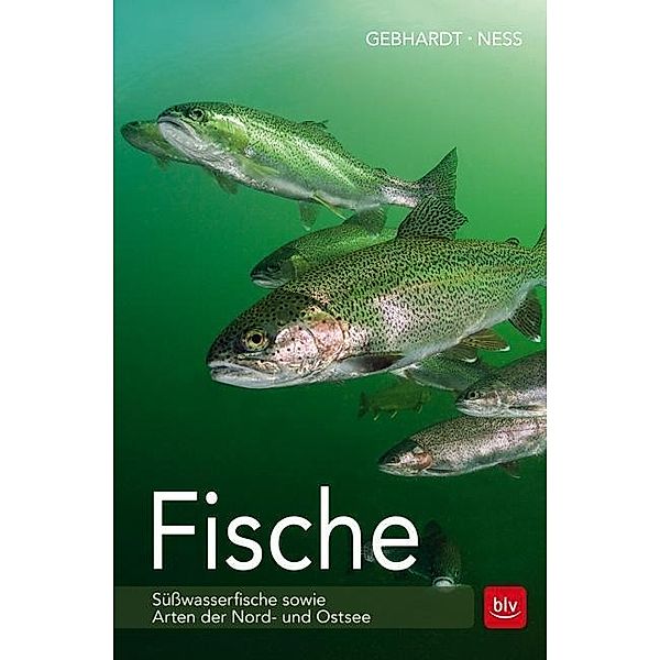 Fische, Harald Gebhardt, Andreas Ness