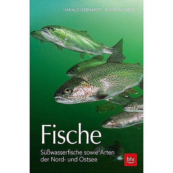 Fische, Harald Gebhardt, Andreas Ness