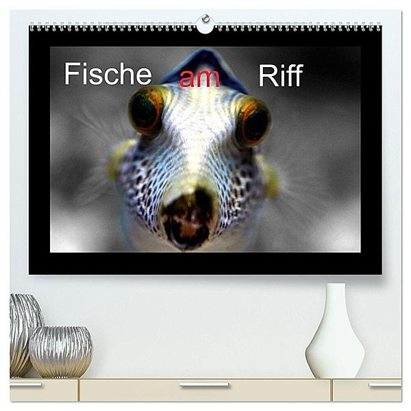 Fische am Riff (hochwertiger Premium Wandkalender 2024 DIN A2 quer), Kunstdruck in Hochglanz, Bernd Witkowski