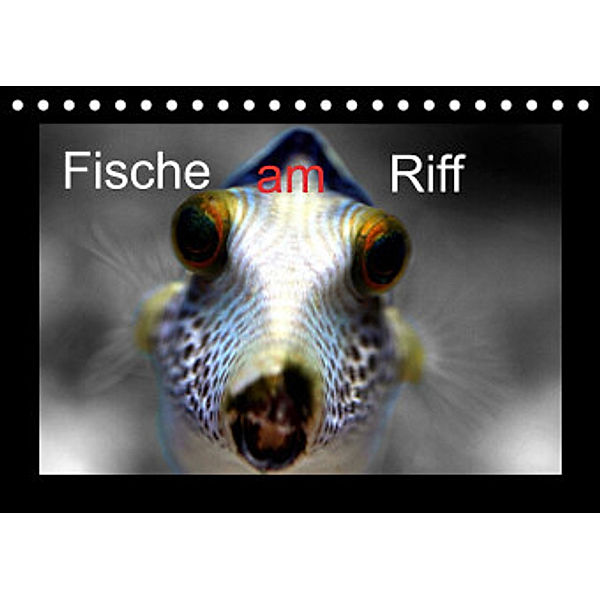 Fische am Riff (Tischkalender 2022 DIN A5 quer), Bernd Witkowski