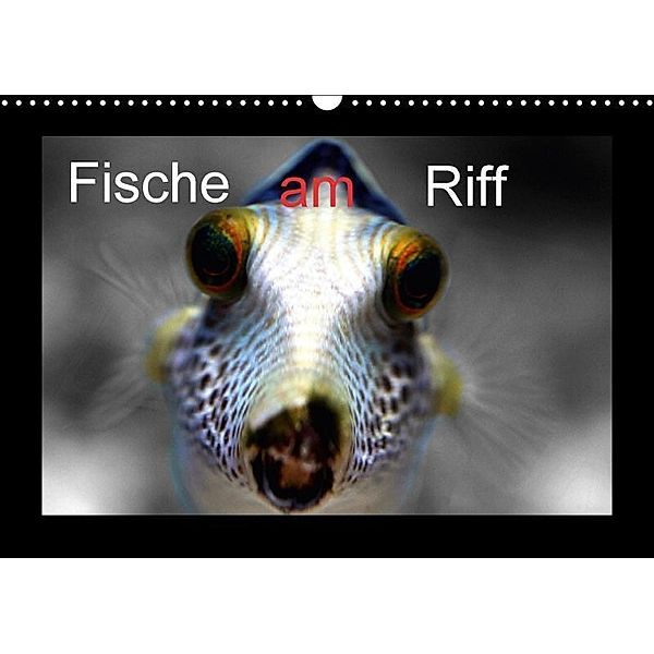 Fische am Riff (Wandkalender 2017 DIN A3 quer), Bernd Witkowski