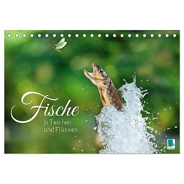 Fische in Teichen und Flüssen (Tischkalender 2024 DIN A5 quer), CALVENDO Monatskalender, Calvendo