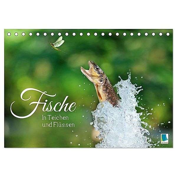 Fische in Teichen und Flüssen (Tischkalender 2025 DIN A5 quer), CALVENDO Monatskalender, Calvendo