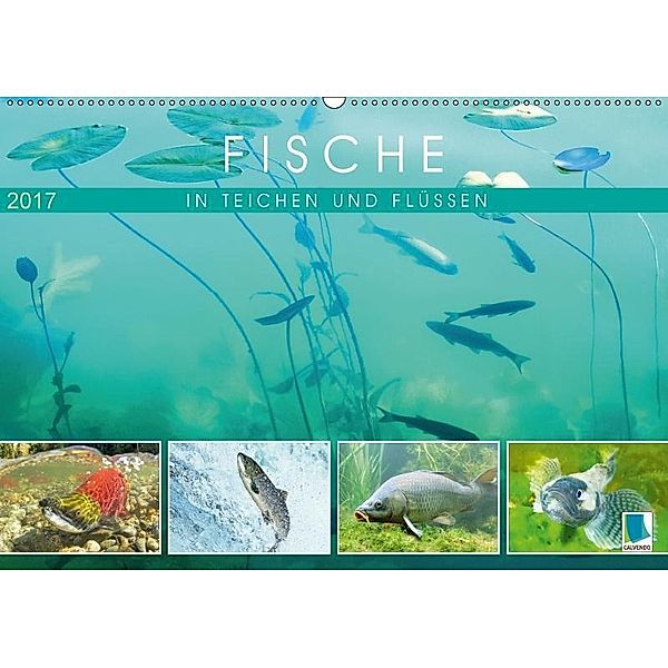 Fische in Teichen und Flüssen (Wandkalender 2017 DIN A2 quer), CALVENDO