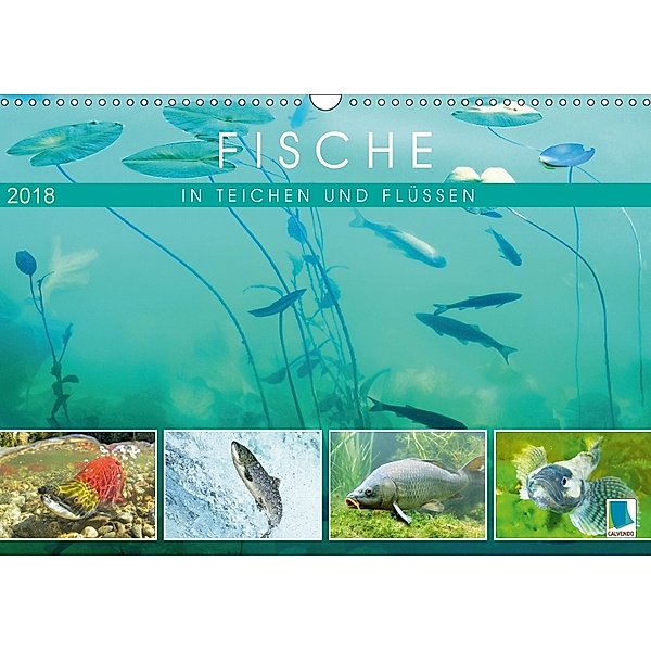 Fische in Teichen und Flüssen (Wandkalender 2018 DIN A3 quer), Calvendo