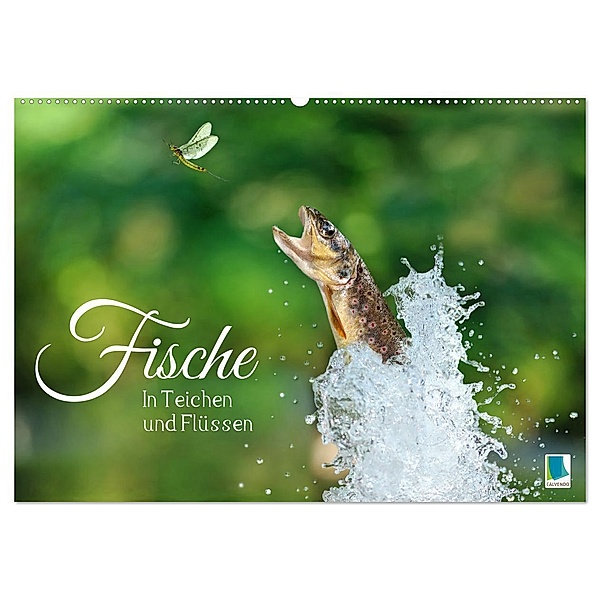 Fische in Teichen und Flüssen (Wandkalender 2024 DIN A2 quer), CALVENDO Monatskalender, Calvendo