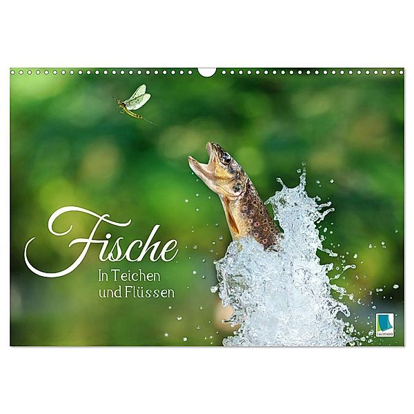 Fische in Teichen und Flüssen (Wandkalender 2024 DIN A3 quer), CALVENDO Monatskalender, Calvendo