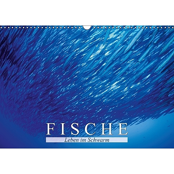 Fische Leben im Schwarm (Wandkalender 2014 DIN A3 quer), Calvendo