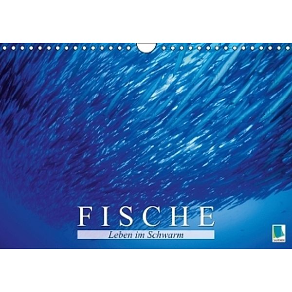 Fische Leben im Schwarm (Wandkalender 2015 DIN A4 quer), Calvendo