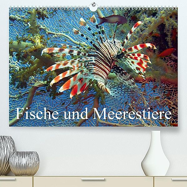 Fische und Meerestiere (Premium-Kalender 2020 DIN A2 quer), Elisabeth Stanzer