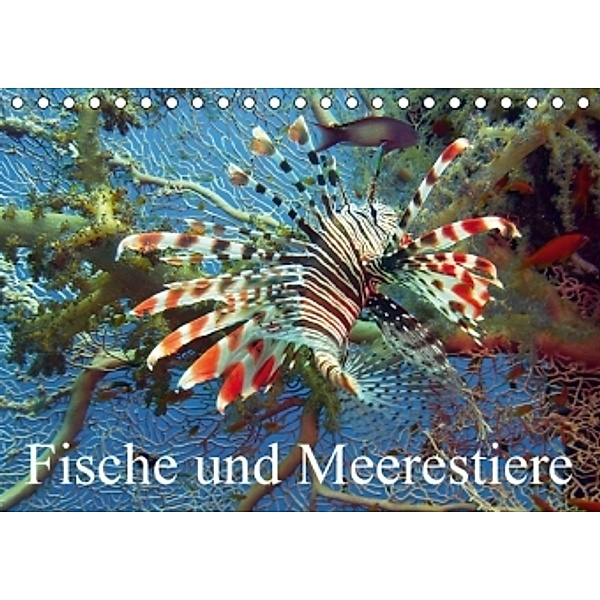 Fische und Meerestiere (Tischkalender 2016 DIN A5 quer), Elisabeth Stanzer