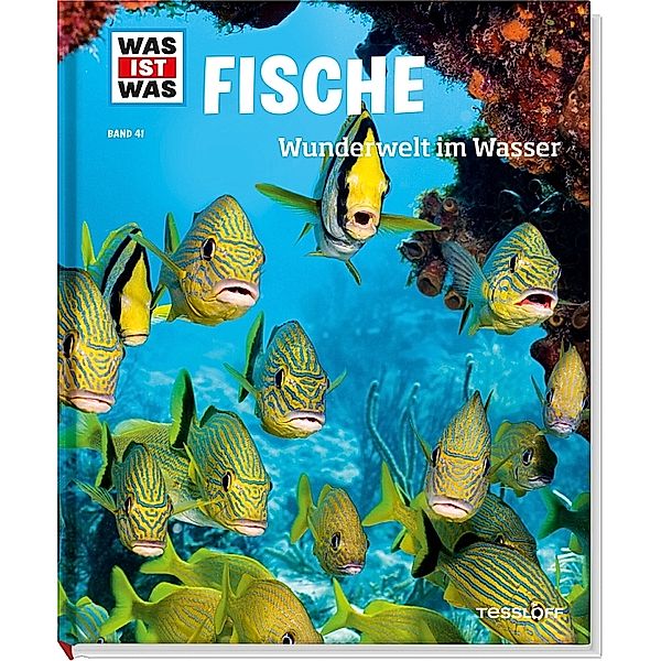 Fische / Was ist was Bd.41, Nicolai Schirawski