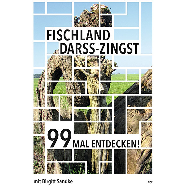 Fischland-Darss-Zingst 99 Mal entdecken!, Birgitt Sandke