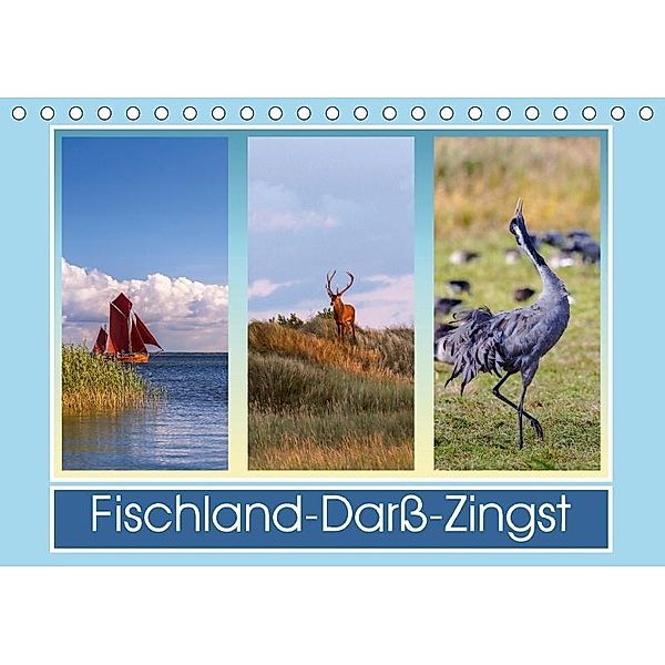 Fischland-Darß-Zingst (Tischkalender 2017 DIN A5 quer), Daniela Beyer