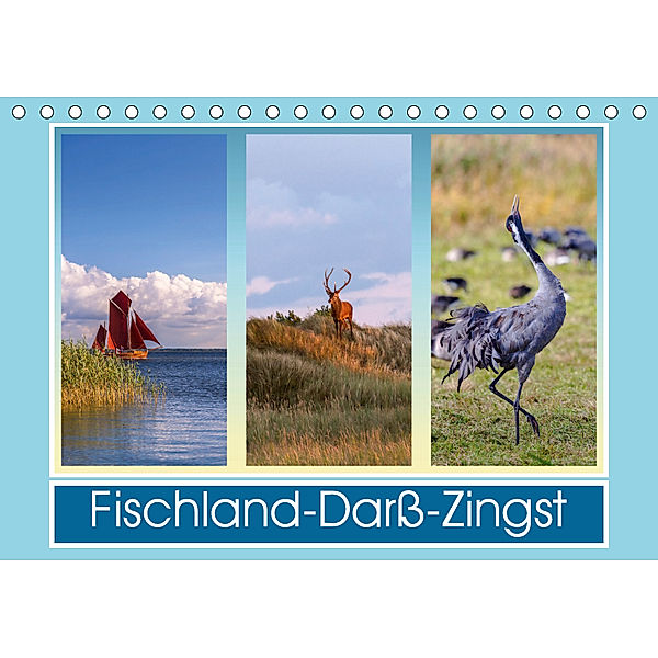 Fischland-Darß-Zingst (Tischkalender 2019 DIN A5 quer), Daniela Beyer
