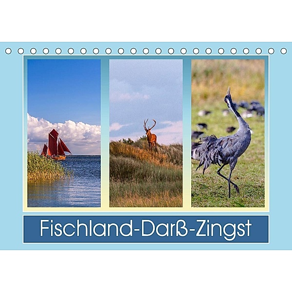 Fischland-Darß-Zingst (Tischkalender 2023 DIN A5 quer), Daniela Beyer (Moqui)