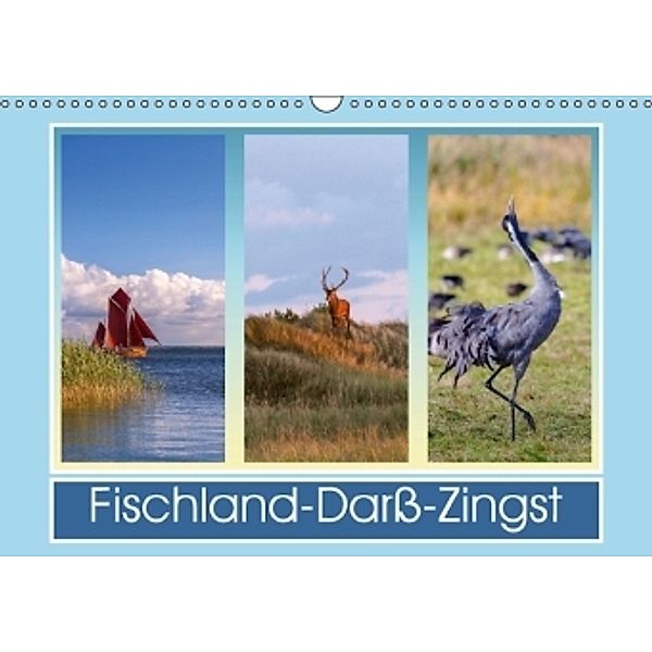 Fischland-Darß-Zingst (Wandkalender 2016 DIN A3 quer), Daniela Beyer