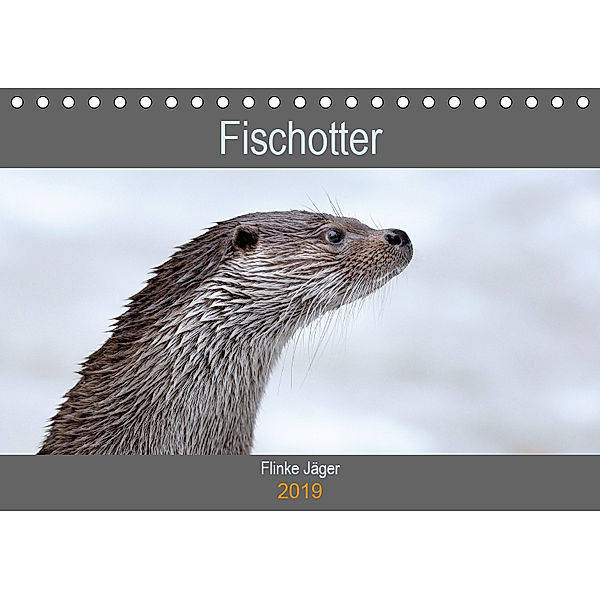 Fischotter, flinke Jäger (Tischkalender 2019 DIN A5 quer), J. R. Bogner