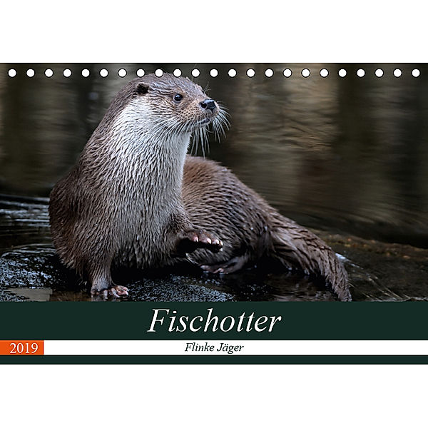 Fischotter, flinke Jäger (Tischkalender 2019 DIN A5 quer), J. R. Bogner