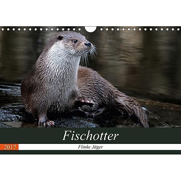 Fischotter, flinke Jäger (Wandkalender 2017 DIN A4 quer), J. R. Bogner