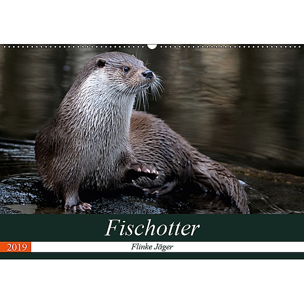 Fischotter, flinke Jäger (Wandkalender 2019 DIN A2 quer), J. R. Bogner